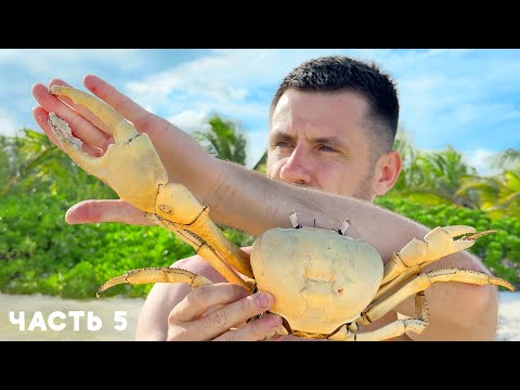 Видео: Я поймал Гигантских Крабов руками! Подводная Охота и Ловушки | Выживание: Новый сезон (Часть 5)
