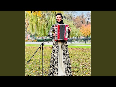 Видео: Йолахь соьга деши