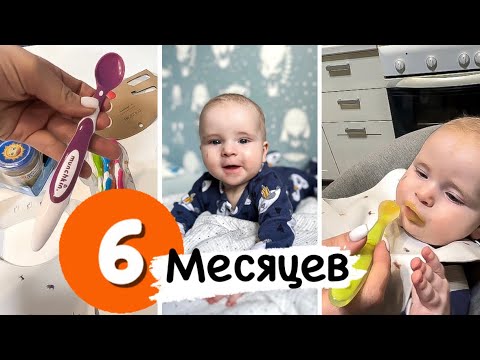 Видео: Baby update 6 месяцев 🎉| начинаем прикорм 🥣