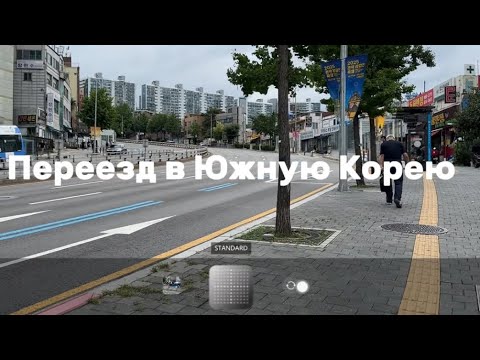Видео: Влог-переезд в Южную Корею/перелет и первые два дня🦭