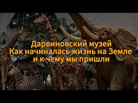 Видео: Смотровая площадка, Дарвиновский музей. Артефакты  нашей (и не только)  эпохи.