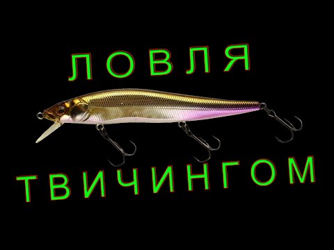Видео: Снасть для твичинга / Советы начинающим спиннингистам