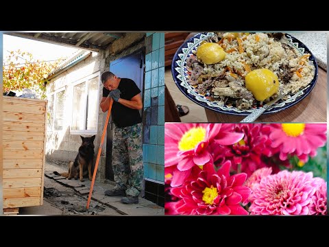 Видео: Закупились. Отдохнули. Раскурочили весь двор. Довольные.