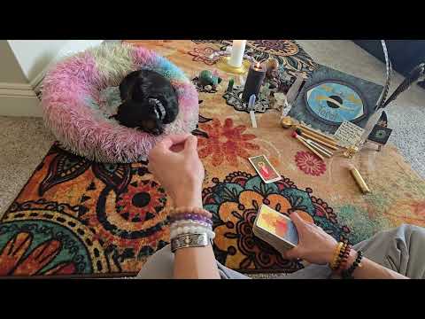 Видео: Они все в этом участвуют и все идут ко дну. Две сильные души объединяются.