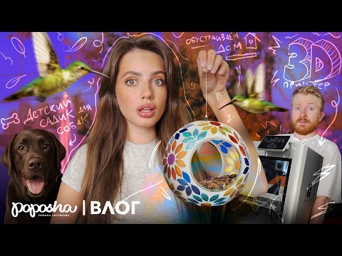 Видео: КАК МЫ ОБСТАВИЛИ ДОМ, 3D ПРИНТЕР и СОБАЧИЙ ДЕТСКИЙ САД для РАКЕТЫ / ВЛОГ
