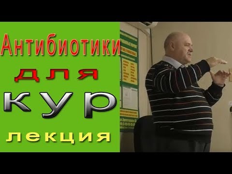 Видео: Куры и антибиотики