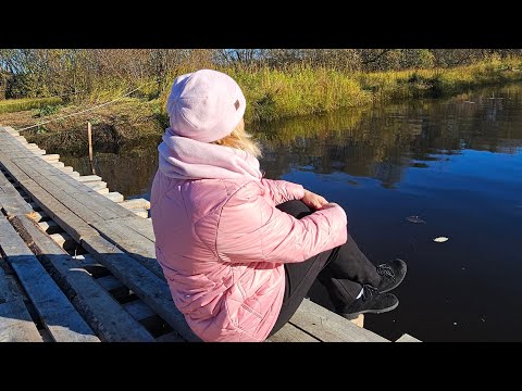 Видео: Новые тропы в туристическом комплексе Малые Карелы. Мост из бочек и дерева.
