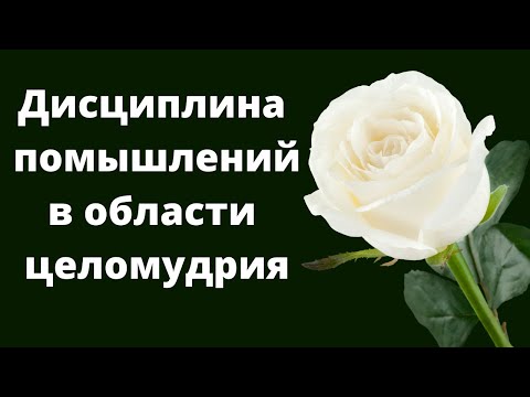 Видео: Дисциплина помышлений в области целомудрия  Э.Дридгер   Беседа МСЦ ЕХБ