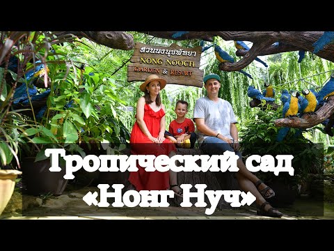 Видео: Vlog 133 - Тропический сад "Нонг Нуч". Мы в лучшем парке мира в Паттайе. Лучший тропический сад.