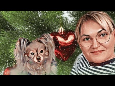 Видео: Любимый Василёк🎄Новинки в уходящем году🎄Чемодан собран . НО! Всё решится Завтра !!