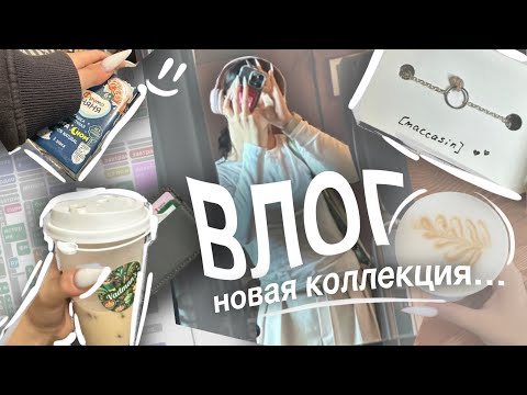 Видео: БИЗНЕС И ШКОЛА 😁🔫                                        | мотивация | влог | учеба | бренд