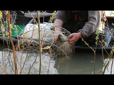 Видео: Проверка фитилей хороший улов......