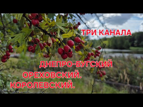 Видео: ПРИМЕТА РАБОТАЕТ,НЕ ДЕЛАЙТЕ ТАК.