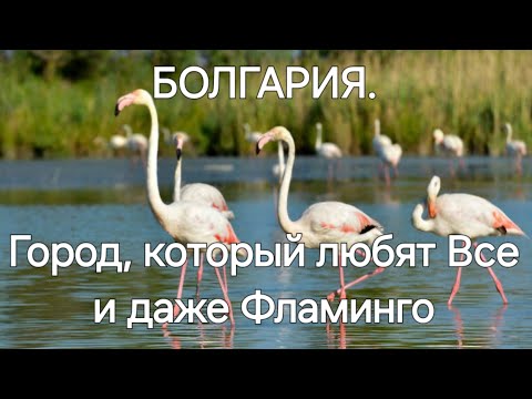 Видео: Болгария, о которой Вы не ЗНАЕТЕ