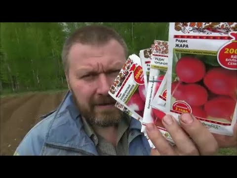 Видео: Копка подвала и огородные страдания
