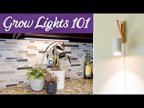 Видео: Раскрываем секреты фитоламп: что вам нужно знать
