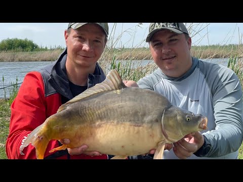 Видео: ОТКРЫЛИ С СЕМЕНОМ СЕЗОН ПО ФЛЭТУ! Весенняя рыбалка на микро насадки.