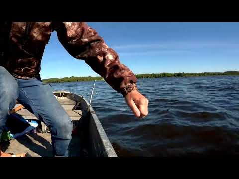 Видео: Рыбалка с лодки на донки,река Волга деревня Семигорье