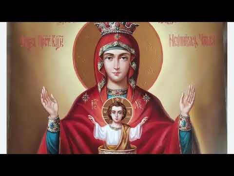 Видео: Молебен с акафистом Божией Матери перед Ее иконой «Неупиваемая чаша»