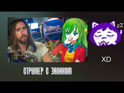 Видео: ЮВ СМОТРИТ: СТРИМЕР С ЗАПАХОМ СВАЛКИ | Asmongold