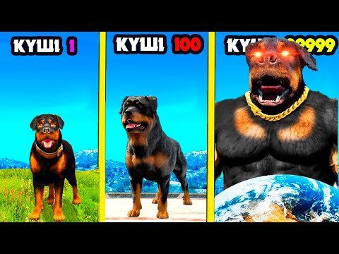 Видео: ЧОП КАЧОКҚА АЙНАЛДЫ (GTA V)