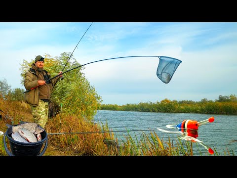 Видео: ПОЛОЖИЛО ПОПЛАВОК И ПОТАЩИЛО К КАМЫШАМ... РЫБАЛКА НА ПОПЛАВОК ОСЕНЬЮ!