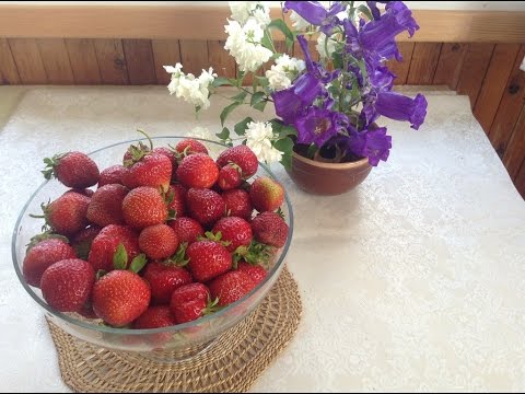 Видео: 72.Клубника. Как получить второй урожай клубники.