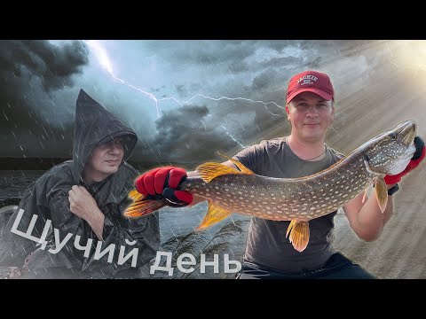Видео: Рыбалка на джиг. ЩУЧИЙ день. Река Сухона.