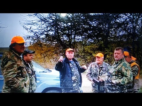 Видео: Охота на фазана Молдова Каушаны 27.10.19