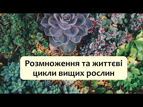 Видео: Біологія 7 клас (Балан). §22 Розмноження та життєві цикли вищих рослин