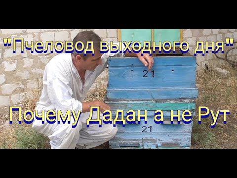Видео: Почему рамки Дадан а не Рут?Использование 16 рамочного улья как много корпусного.
