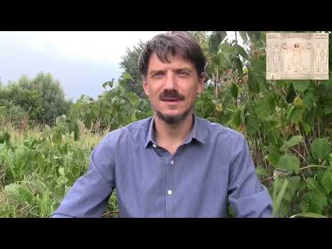 Видео: Завистники в близком окружении, что делать с родственником？ Как избежать зависти родных？{ranok334 ф3