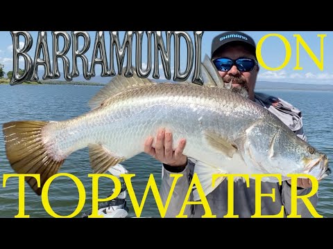 Видео: Незабываемые впечатления от баррамунди