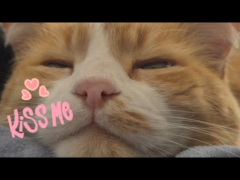 Видео: Ожерелье из видеофрагментов