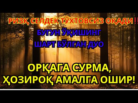 Видео: ҚАРЗИНГ ДАРҲОЛ ТЎЛАНАДИ‼️ | Иншоаллоҳ, барча қарзингиз тўланади, ризқ эшиклари кенг очилади!