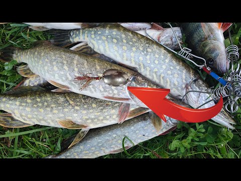 Видео: ДЕДОВСКАЯ БЛЕСНА на ЩУКУ! На Такую Блесну Ловили наши ДЕДЫ!  САМАЯ ПРОСТАЯ БЛЕСНА без Денег!