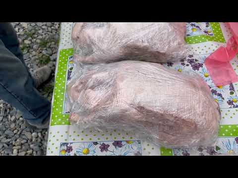 Видео: Ринок тварин. Що цікавого сьогодні ?!