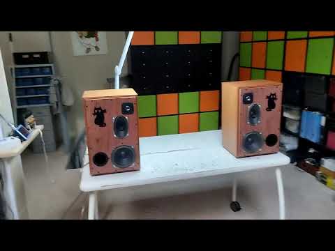 Видео: Акустика 'Брысь 2025" (памяти 10мас).