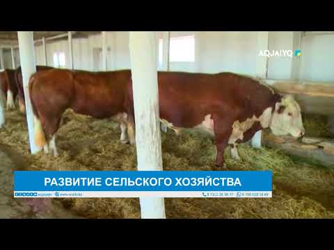 Видео: РАЗВИТИЕ СЕЛЬСКОГО ХОЗЯЙСТВА