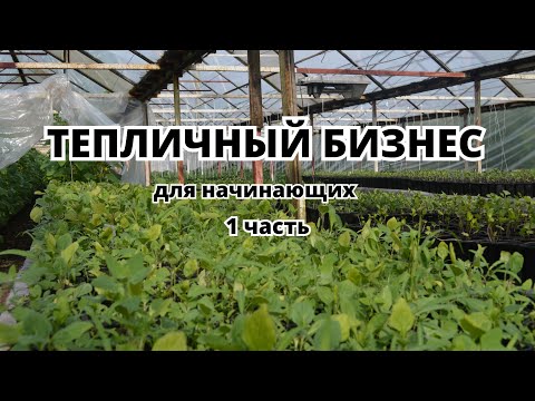 Видео: ТЕПЛИЧНЫЙ БИЗНЕС для начинающих. 1 часть. Советы начинающим. Собственный опыт, практичные вопросы.