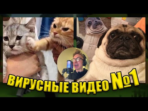 Видео: ВИРУСНЫЕ ВИДЕО / Сборник самые смешные моменты №1