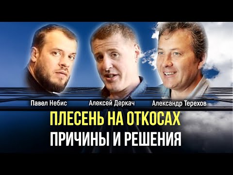 Видео: Плесень на откосах. Причины и решения. | Александр Терехов в гостях у Алексея Деркач