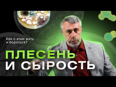 Видео: Плесень и сырость. Как с этим жить и как с этим бороться?