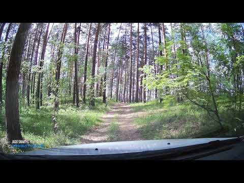 Видео: Дорога к озеру Бараус, Челябинская обл.