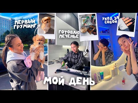 Видео: ДЕНЬ без ПРИКРАС / Обычный день из моей жизни