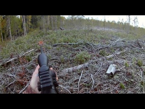 Видео: Удачная охота на реву