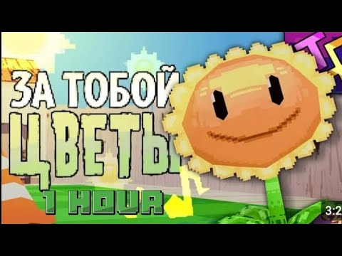 Видео: ЗА ТОБОЙ ЦВЕТЫ 1 ЧАС| оригинал @JF_Voice автор 1 час я