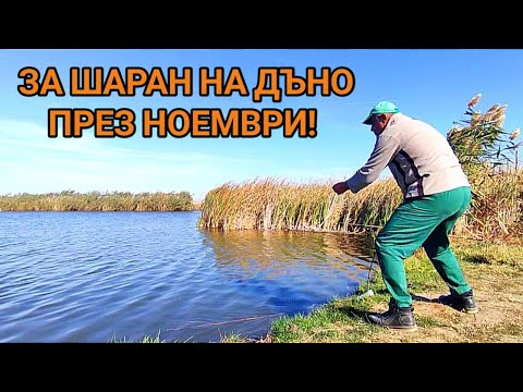 Видео: ЗА ШАРАН И ЕДРИ ТАРАНКИ ПРЕЗ НОЕМВРИ НА ГРОЗД ОТ БЯЛ ЧЕРВЕЙ! РИБОЛОВ ОТ СОЦА НА ДЪНО С ШИШЕ!