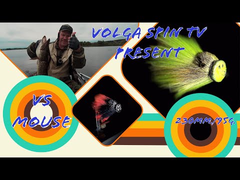 Видео: Эта приманка для трофейной рыбалки!Хочешь себе такую?! @volgaspintv #fishing #handmade #pike