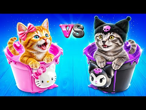 Видео: Челлендж одного цвета! Хеллоу Китти vs Куроми строят домики для кошек!